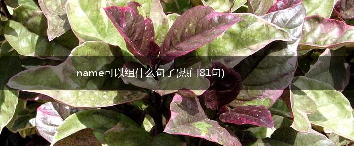 name可以组什么句子(热门81句),第1张
