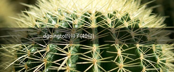 dgoingto的句子(40句),第1张
