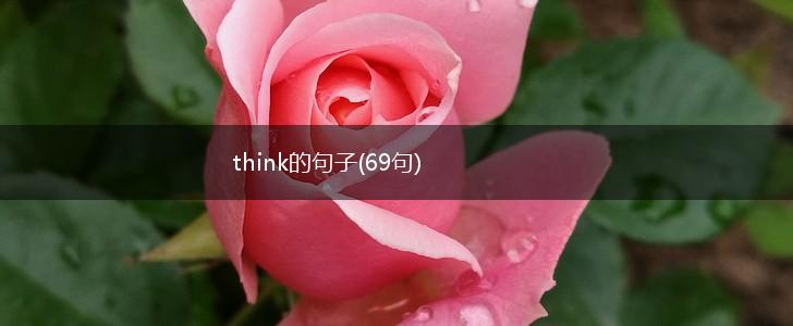 think的句子(69句),第1张