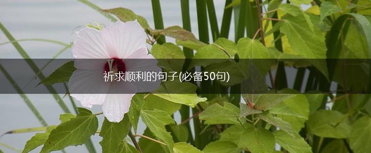 祈求顺利的句子(必备50句),第1张