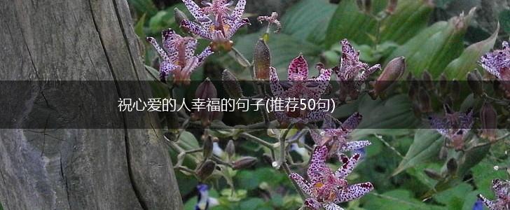 祝心爱的人幸福的句子(推荐50句),第1张