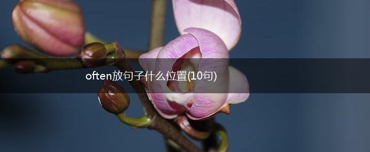 often放句子什么位置(10句),第1张