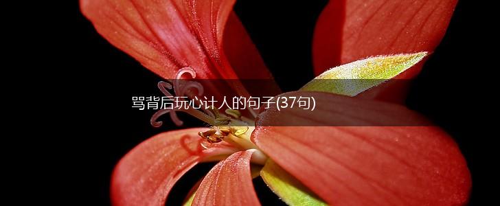 骂背后玩心计人的句子(37句),第1张