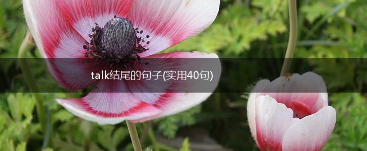 talk结尾的句子(实用40句),第1张