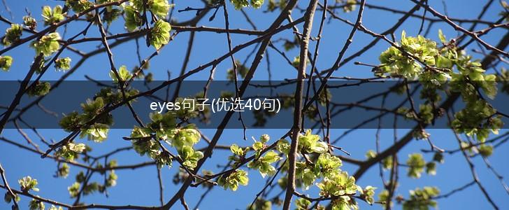 eyes句子(优选40句),第1张