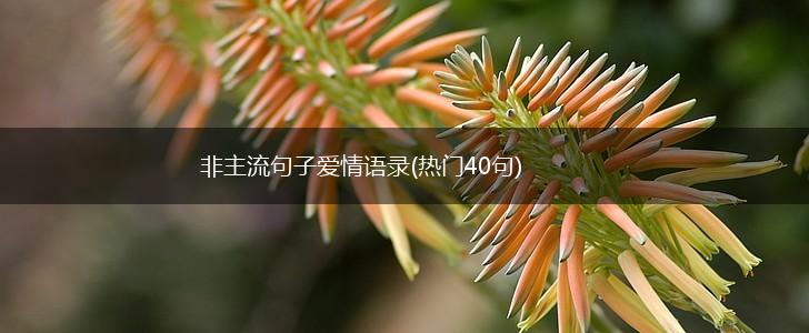 非主流句子爱情语录(热门40句),第1张