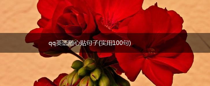 qq英语随心贴句子(实用100句),第1张