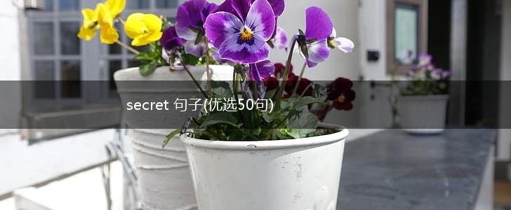 secret 句子(优选50句),第1张