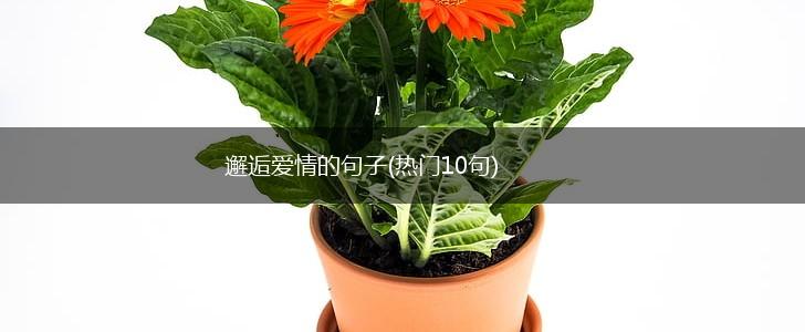 邂逅爱情的句子(热门10句),第1张