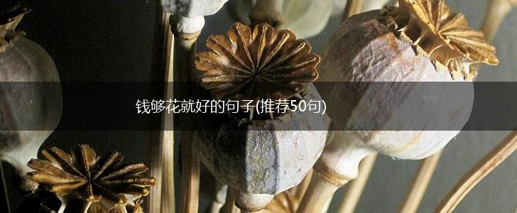 钱够花就好的句子(推荐50句),第1张