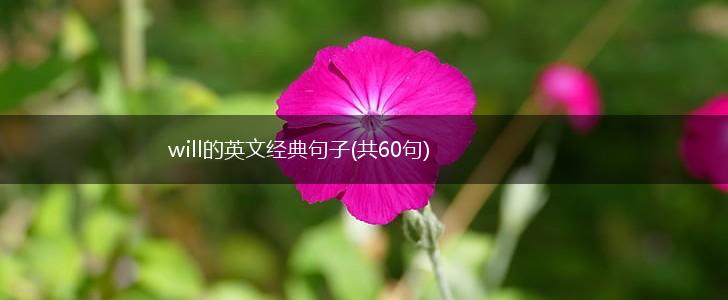 will的英文经典句子(共60句),第1张