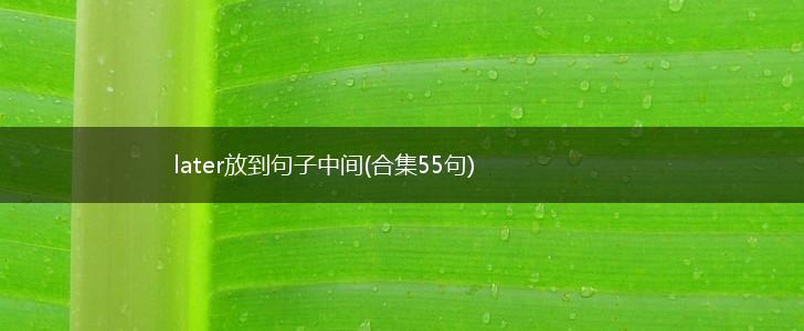 later放到句子中间(合集55句),第1张