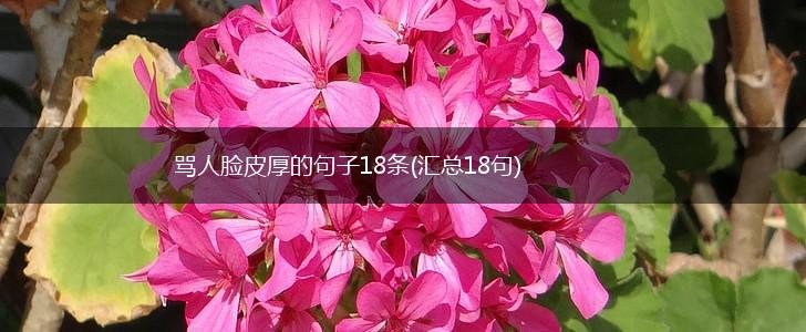 骂人脸皮厚的句子18条(汇总18句),第1张
