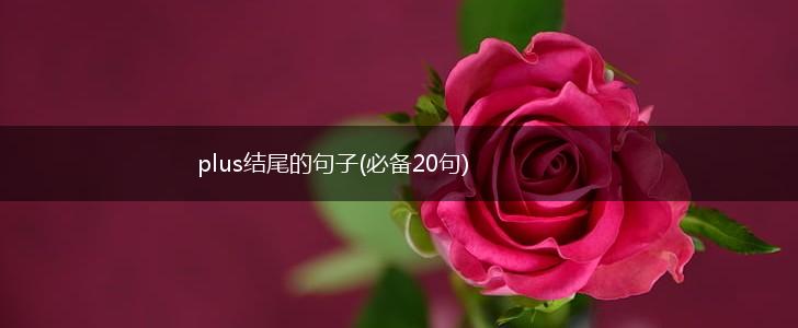 plus结尾的句子(必备20句),第1张