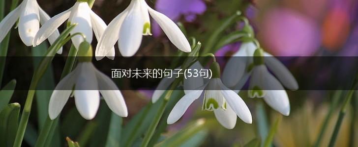 面对未来的句子(53句),第1张