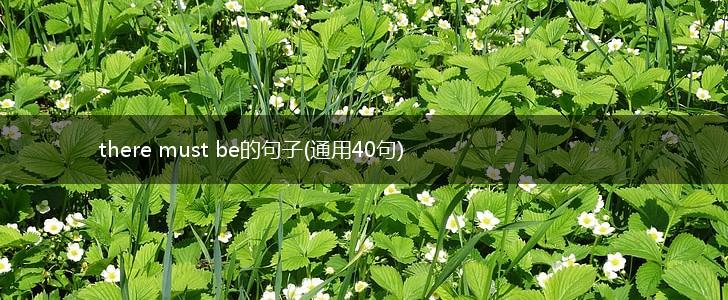 there must be的句子(通用40句),第1张