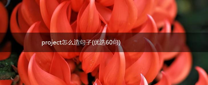 project怎么造句子(优选60句),第1张