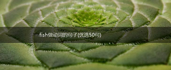 fish做动词的句子(优选50句),第1张