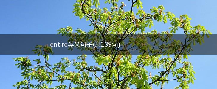 entire英文句子(共139句),第1张