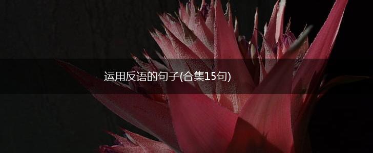 运用反语的句子(合集15句),第1张