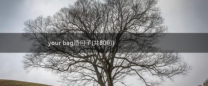 your bag造句子(共80句),第1张