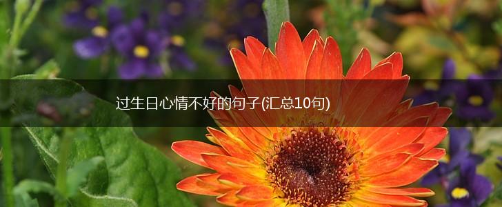 过生日心情不好的句子(汇总10句),第1张