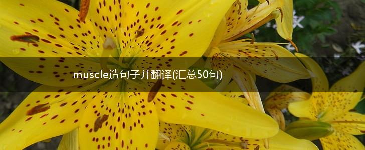 muscle造句子并翻译(汇总50句),第1张