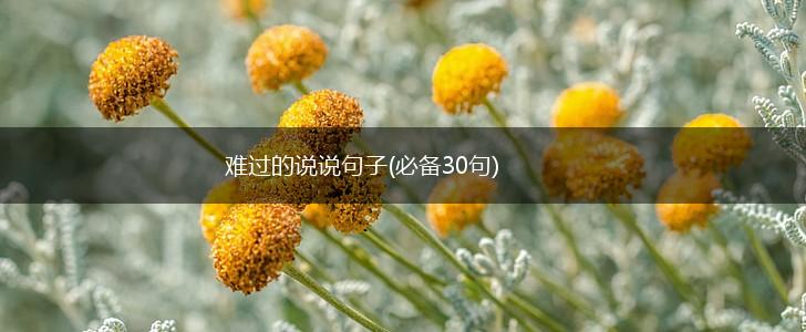 难过的说说句子(必备30句),第1张