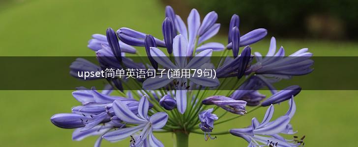 upset简单英语句子(通用79句),第1张