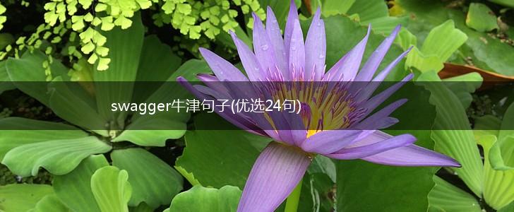 swagger牛津句子(优选24句),第1张