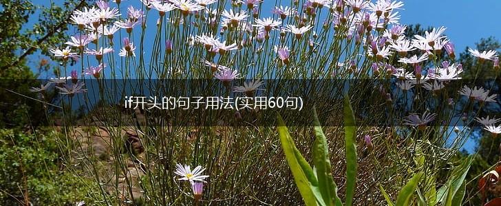 if开头的句子用法(实用60句),第1张