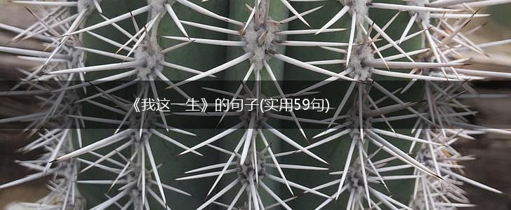 《我这一生》的句子(实用59句),第1张
