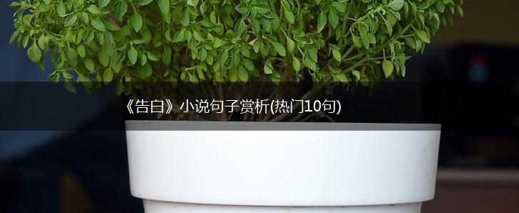 《告白》小说句子赏析(热门10句),第1张