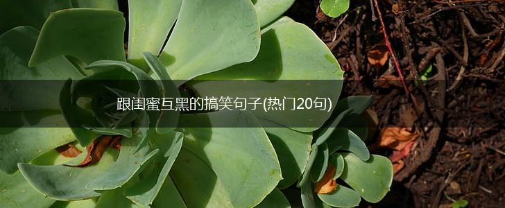 跟闺蜜互黑的搞笑句子(热门20句),第1张