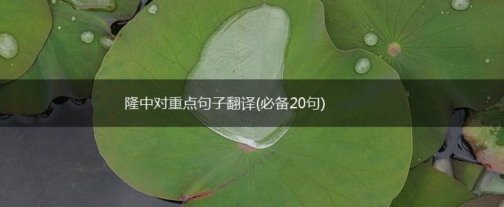 隆中对重点句子翻译(必备20句),第1张
