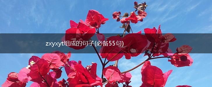 zxyxyt组成的句子(必备55句),第1张