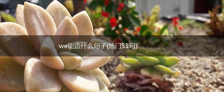 we能造什么句子(热门51句),第1张