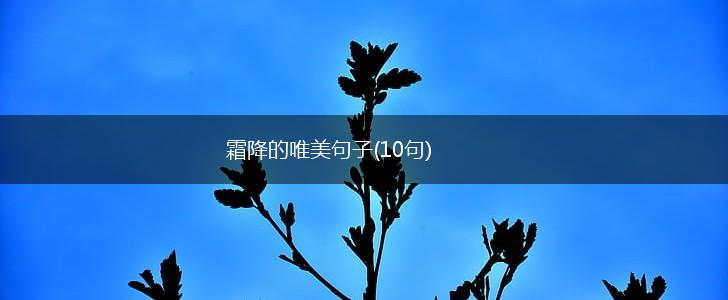 霜降的唯美句子(10句),第1张