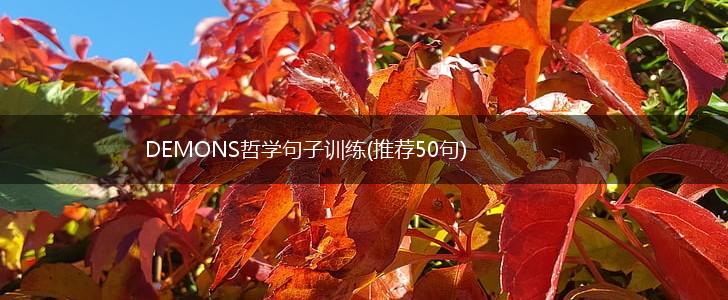 DEMONS哲学句子训练(推荐50句),第1张