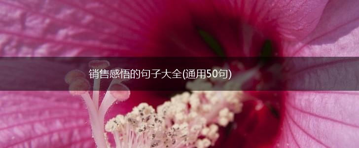 销售感悟的句子大全(通用50句),第1张