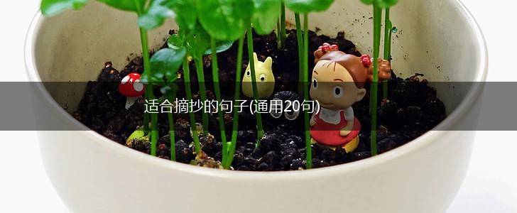 适合摘抄的句子(通用20句),第1张