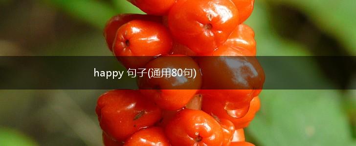 happy 句子(通用80句),第1张