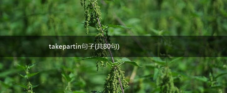 takepartin句子(共80句),第1张