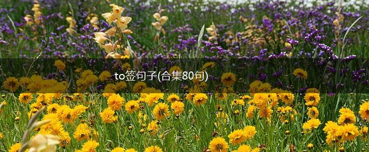 to签句子(合集80句),第1张