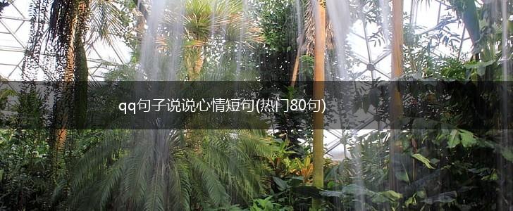 qq句子说说心情短句(热门80句),第1张