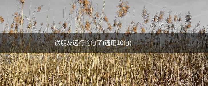 送朋友远行的句子(通用10句),第1张
