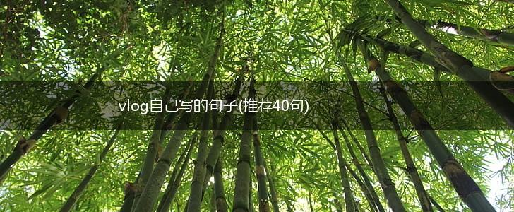 vlog自己写的句子(推荐40句),第1张