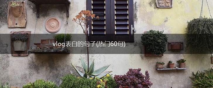 vlog表白的句子(热门60句),第1张