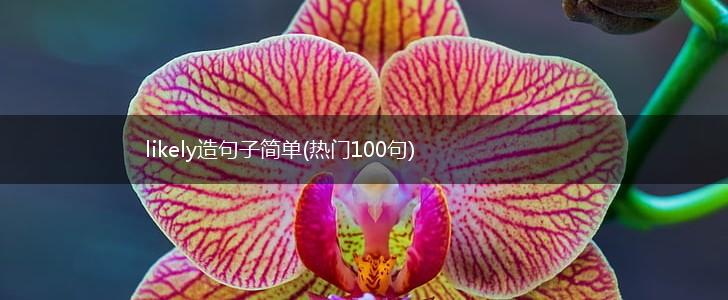 likely造句子简单(热门100句),第1张