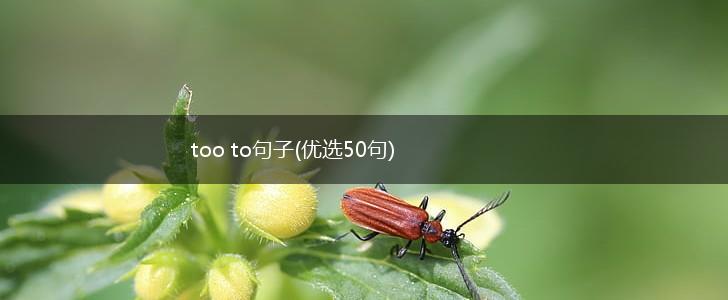too to句子(优选50句),第1张